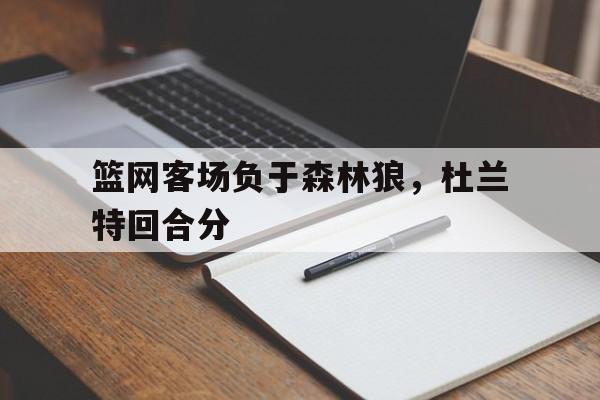篮网客场负于森林狼，杜兰特回合分